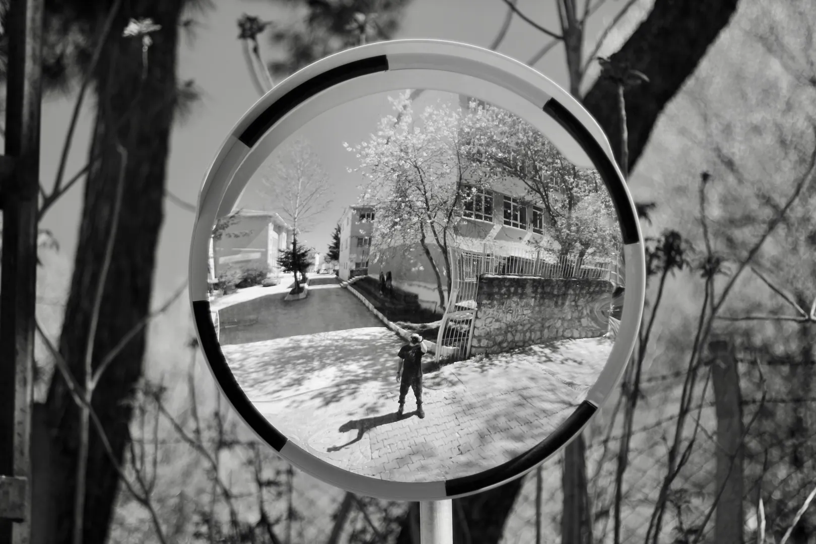 Inner Landscapes and Monochrome Traces: Announcement of the 50 Mood Self-Portrait Project